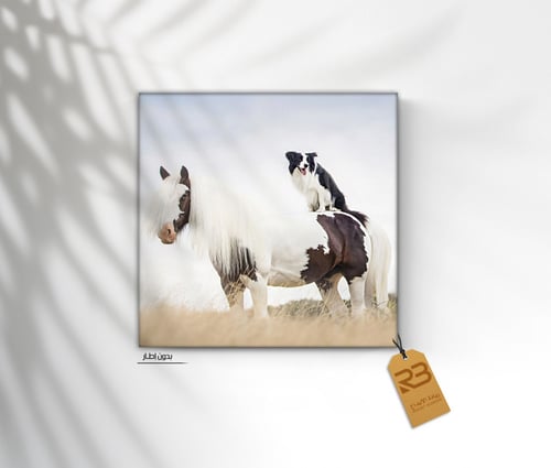 لوحة جدارية تصميم خيل (رقم المنتج RB-7-37)