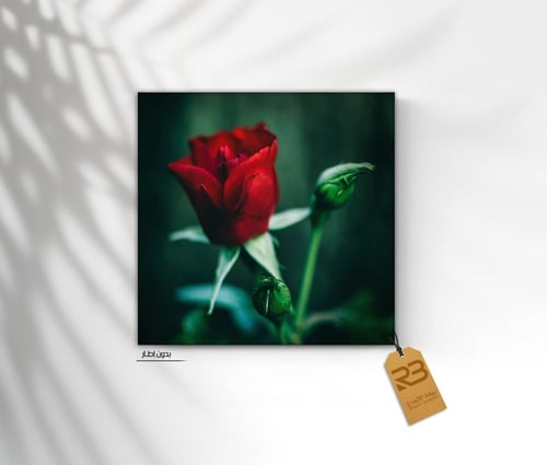 لوحة جدارية تصميم ورد (رقم المنتج RB-8-14)