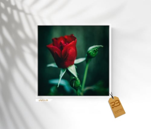 لوحة جدارية تصميم ورد (رقم المنتج RB-8-14)