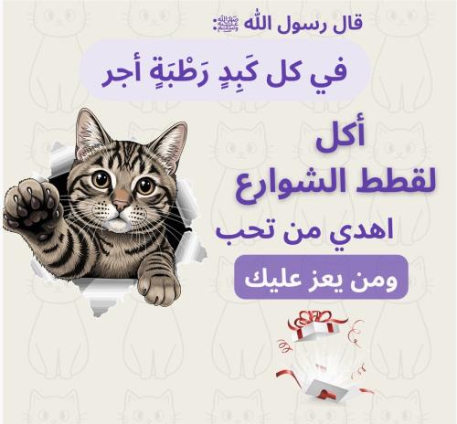 تبرع لقطط الشوارع طعام جاف 1k