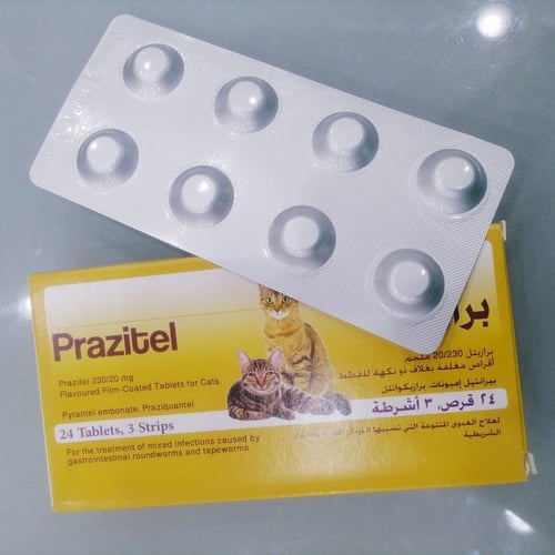 برازيتيل حبوب ديدان للقطط