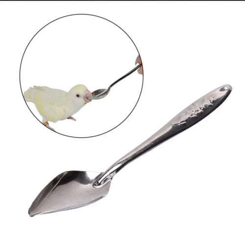 ملاعق غر 10 حبات