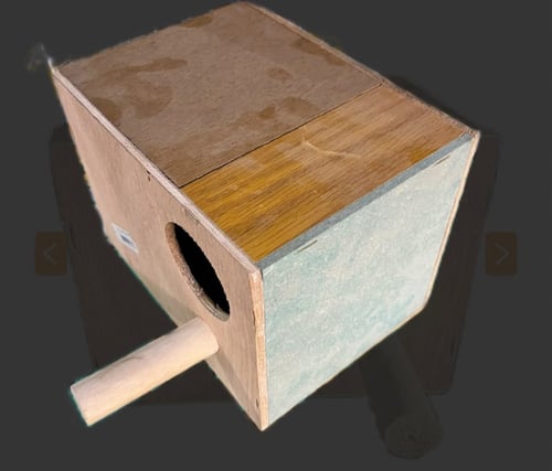 بياضة بادجي روز ( طيور حب ) والجواء مربع كبير