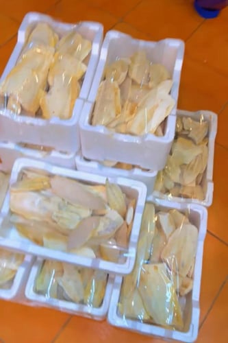 عضم حبار فلين مشكل كامل ومكسر