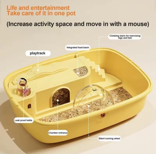 قفص هامستر سقف شفاف