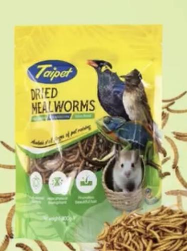 دود ديدان قبابي مجفف 100 g