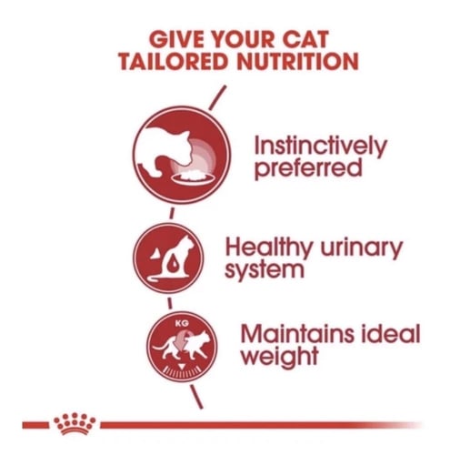 رويال كانين طعام رطب فاتح للشهية بالمرق للقطط 85 ج...