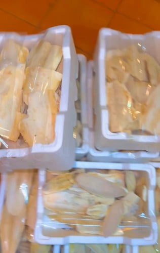 عضم حبار فلين مشكل كامل ومكسر