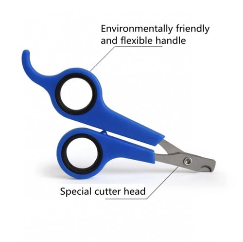 مقص اظافر للحيونات