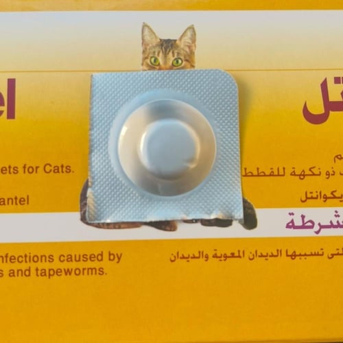 برازيتيل حبوب ديدان للقطط