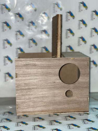 بياضة بادجي روز ( طيور حب ) والجواء مربع كبير