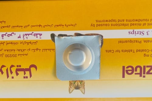 برازيتيل حبوب ديدان للقطط