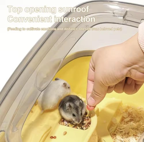 قفص هامستر سقف شفاف