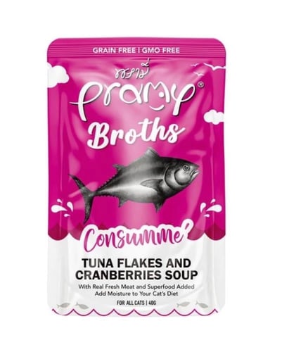 برامي شوربة كريمية بشرائح 40g