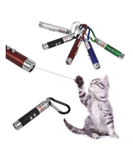 ليد مع ليزر للحيوانات الاليفة ملون