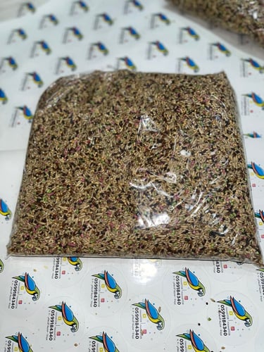 اكل كناري مشكل 1كيلو كيس شفاف