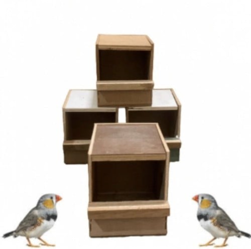 بياضة عش طيور من الخشب عالي الجودة