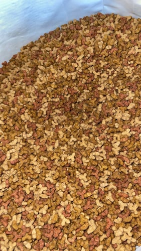 اكل قطط كيلو بيربو مشكل كيس شفاف