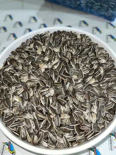 اكل ببغاء حب شمسي 1كيلو كيس شفاف