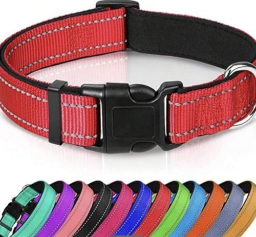 طوق كلاب من النايلون العاكس