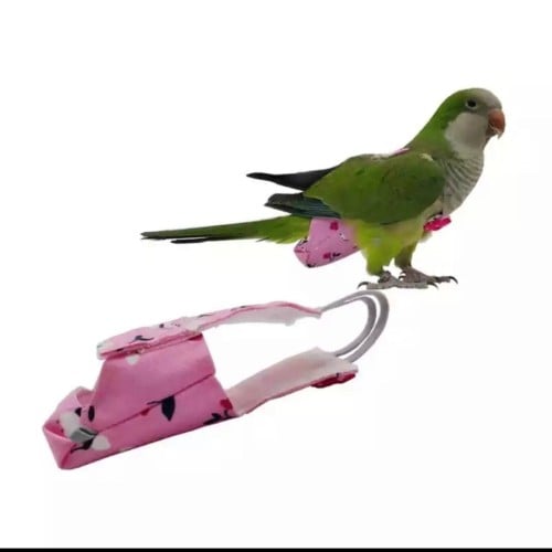 حفاضات للبغوات الاليفه تنفع للكروان والكنيور والكو...