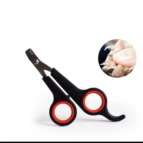 مقص اظافر للحيونات 10 حبات