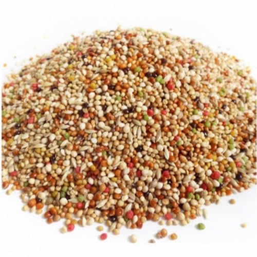 اكل بادجي وزيبراء وجواء مشكل 1 كيلو كيس شفاف