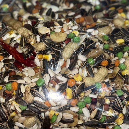 اكل ببغاء مشكل 1كيلو كيس شفاف