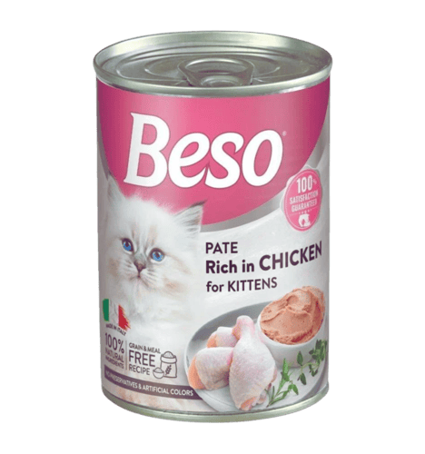 Beso طعام رطب للقطط 400 جرام