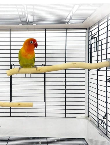 مجثم خشبي طبيعي ملائم للطيور