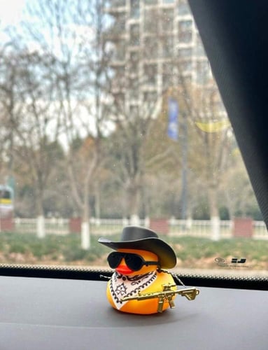 ديكور سيارة بشكل بطة جميلة