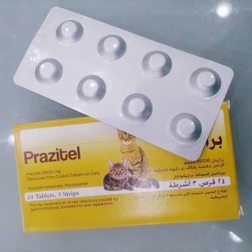 برازيتيل حبوب ديدان للقطط