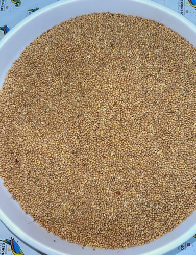 اكل بادجي وزيبرا مليساء ساده واحد كيلو كيس شفاف