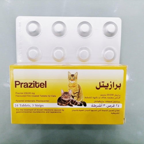 برازيتيل حبوب ديدان للقطط