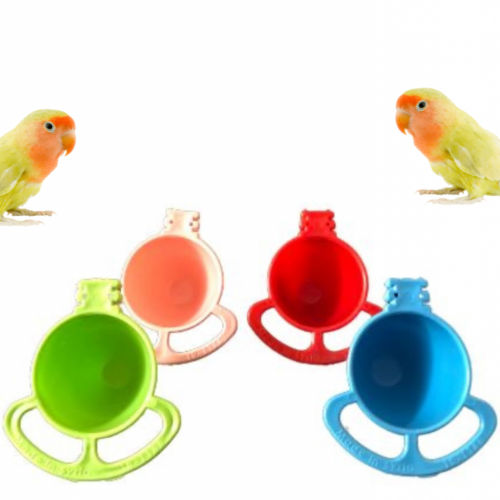 حامل بيض 10 حبه