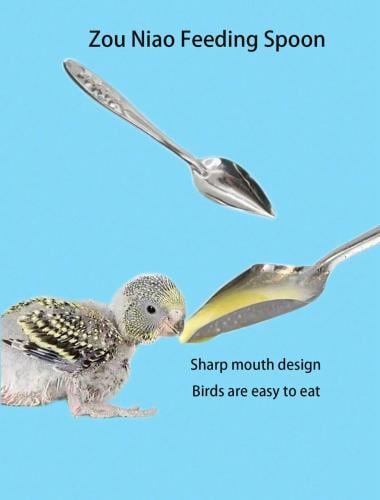 ملعقة تغذية للطيور غر من الفولاذ المقاوم لصدأ