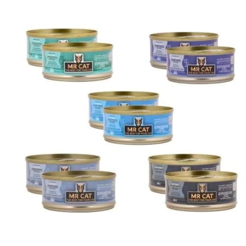 معلب مستر كات للقطط 60g