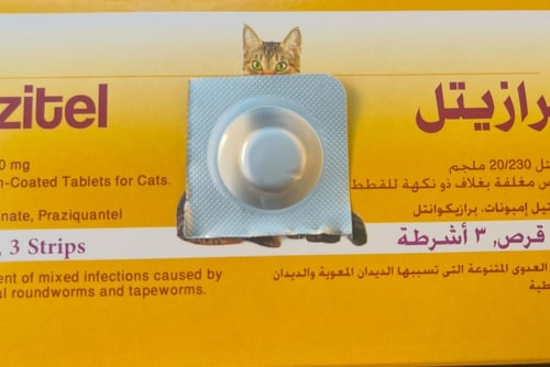 برازيتيل حبوب ديدان للقطط