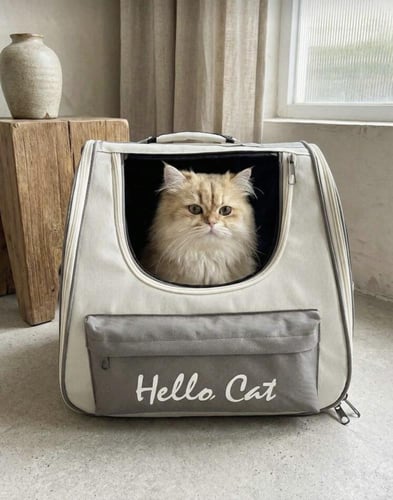حقيبة ظهر حمل القطط والحيوانات الاليفة