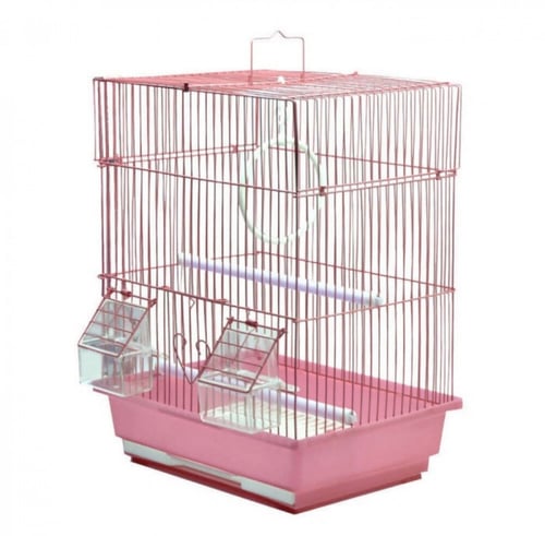 قفص عياشتين لطيور