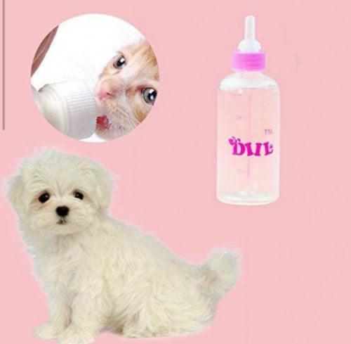 رضاعه الحيوانات الأليفة مع فرشاة تنظيف للقطط والكل...