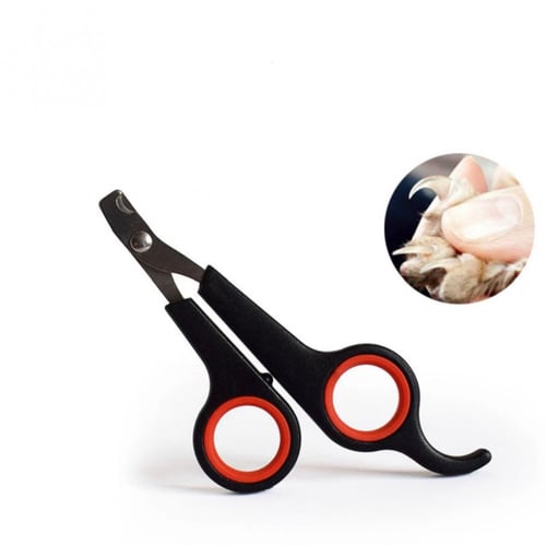 مقص اظافر للحيونات