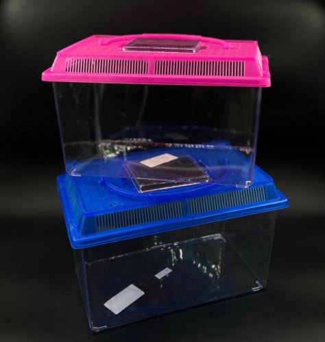 حضانه حوض سمك