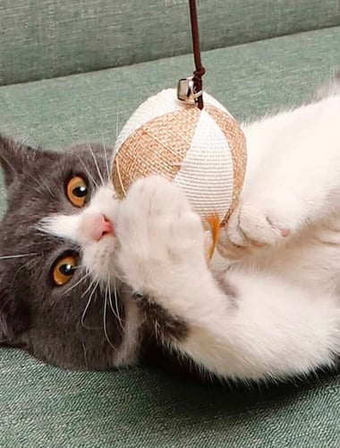 سنارة دعابة القطط شكل عشوائي