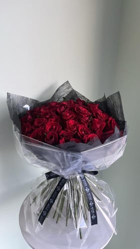 Velvet 50 - ڤيلڤيت ٥٠