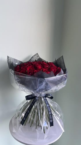 Velvet 50 - ڤيلڤيت ٥٠