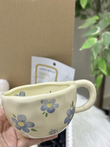 بوكس شتاء لطيف