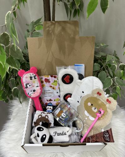 بوكس الدببه الثلاثه