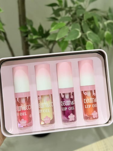 بوكس دب لطيف