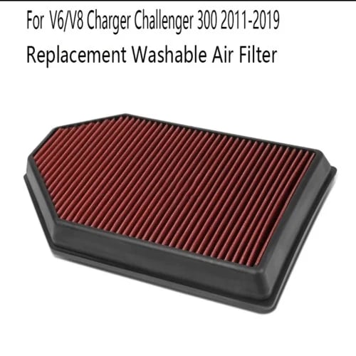 Washable sports chip filter